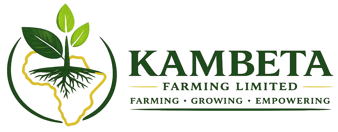 Kambeta Farms Limited