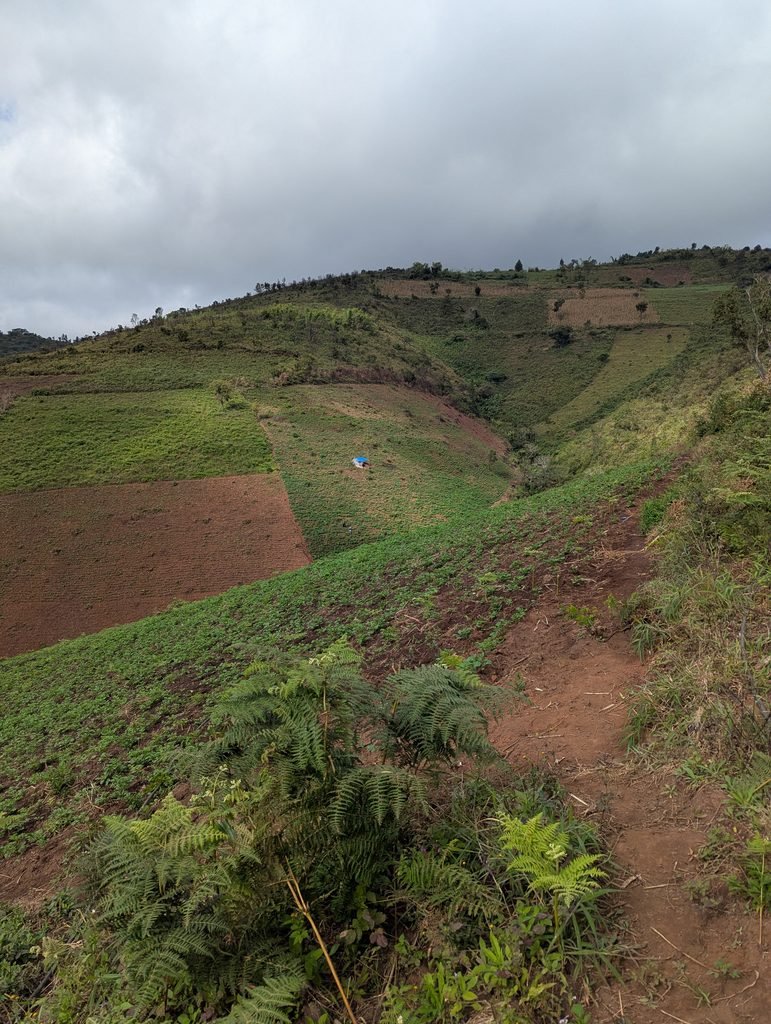 Cultivated hillside farmland in Tanzania
