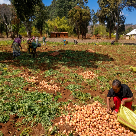 Want to Change the Future? Start with a Farmer in Ludewa.