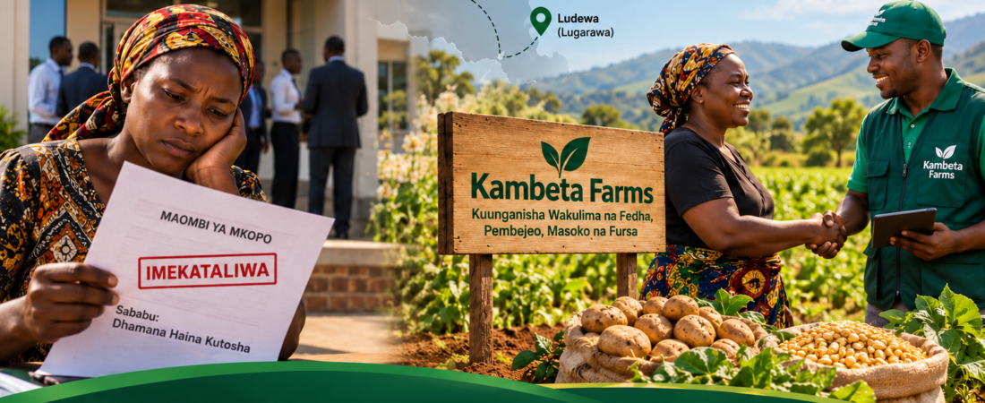 Tanzania Yaona Ongezeko Kubwa la Ufadhili wa Kilimo — Je, Utawafikia Wakulima Wadogo?