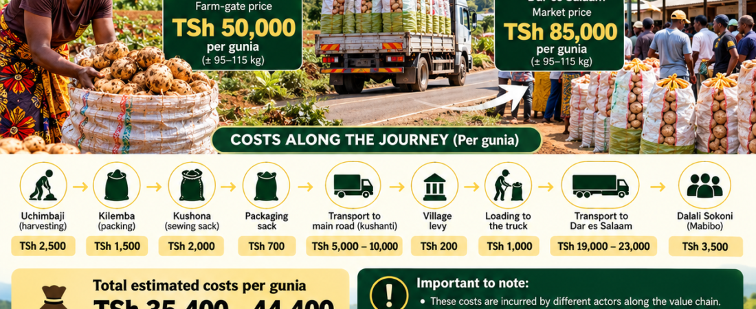 The Journey of One Gunia: What Does It Really Cost to Move Food from Farm to Market?   🇹🇿